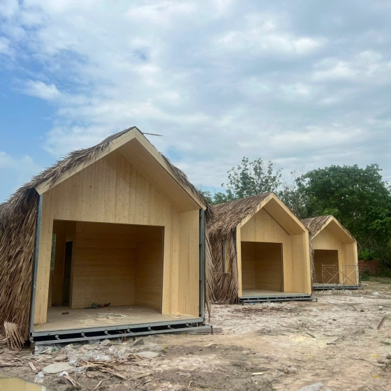 Ốp gỗ thông phần lan (thông lamri) trên Tây Ninh 